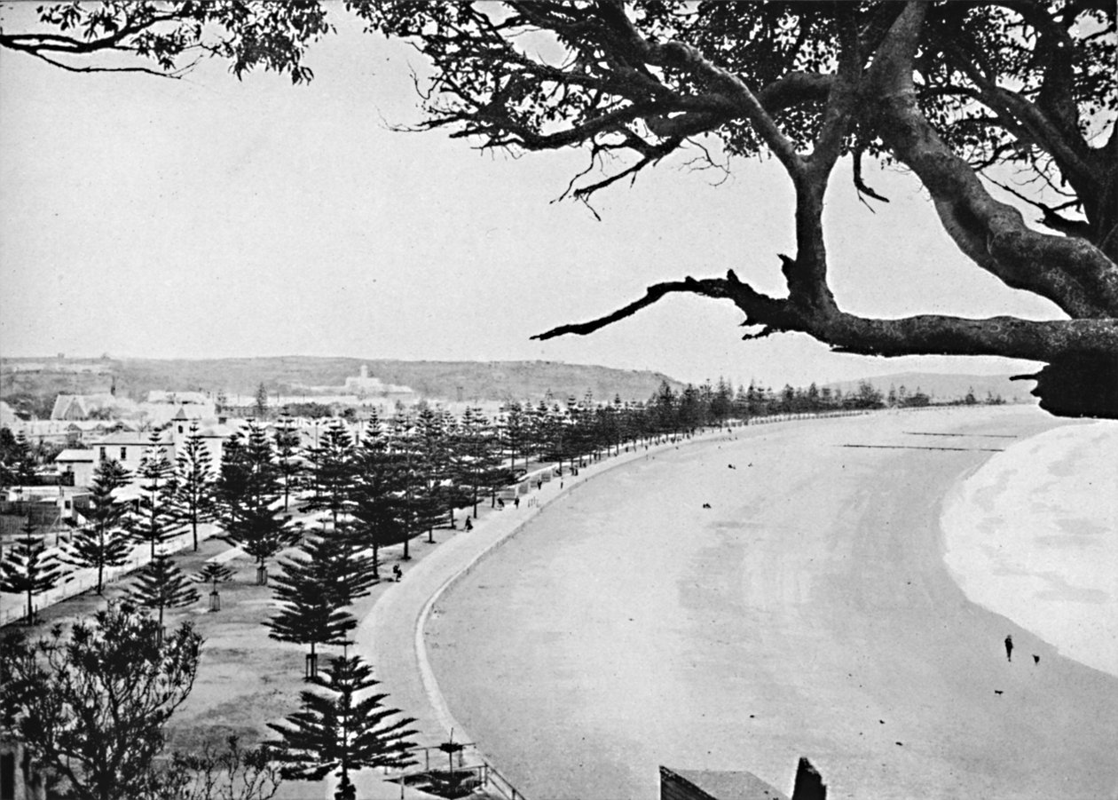 Die Esplanade, Manly Beach von Unbekannt