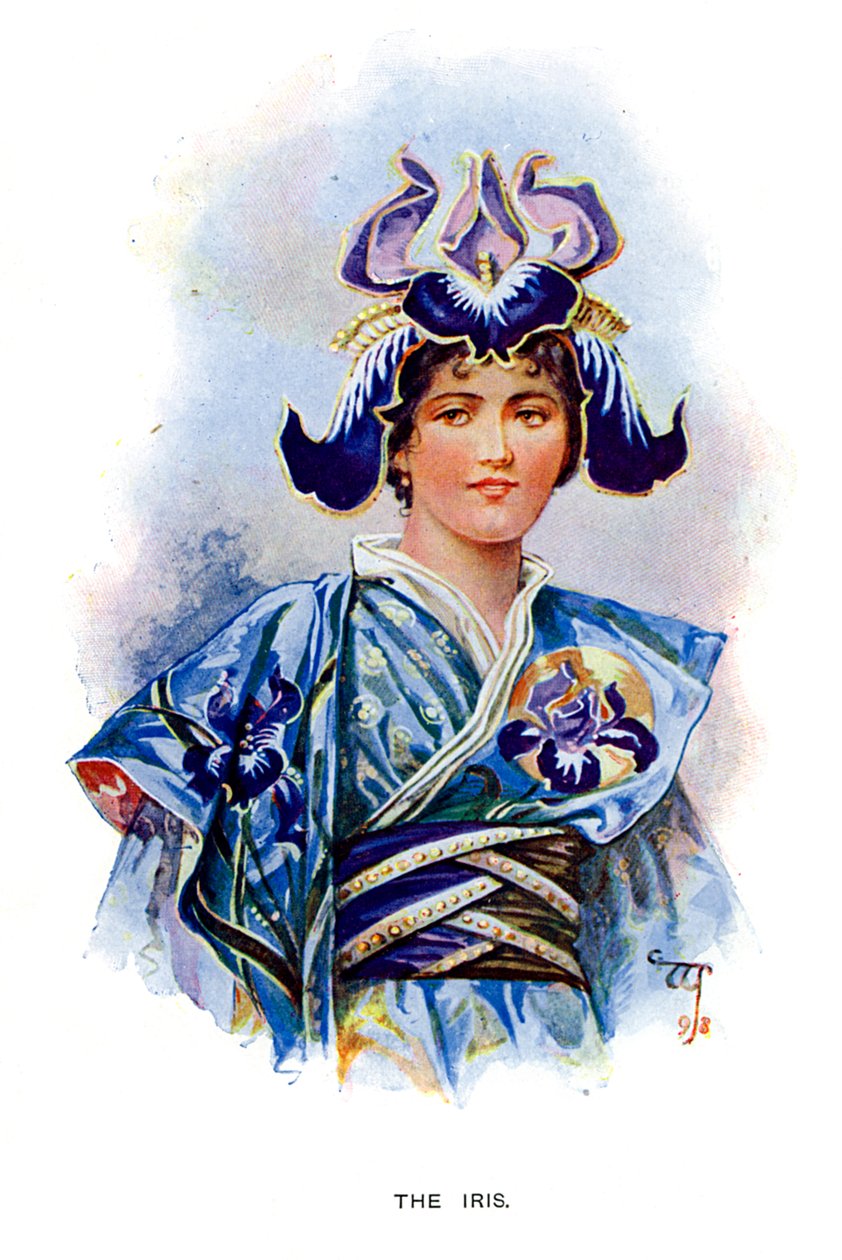 Die Iris, 1899 von Unbekannt