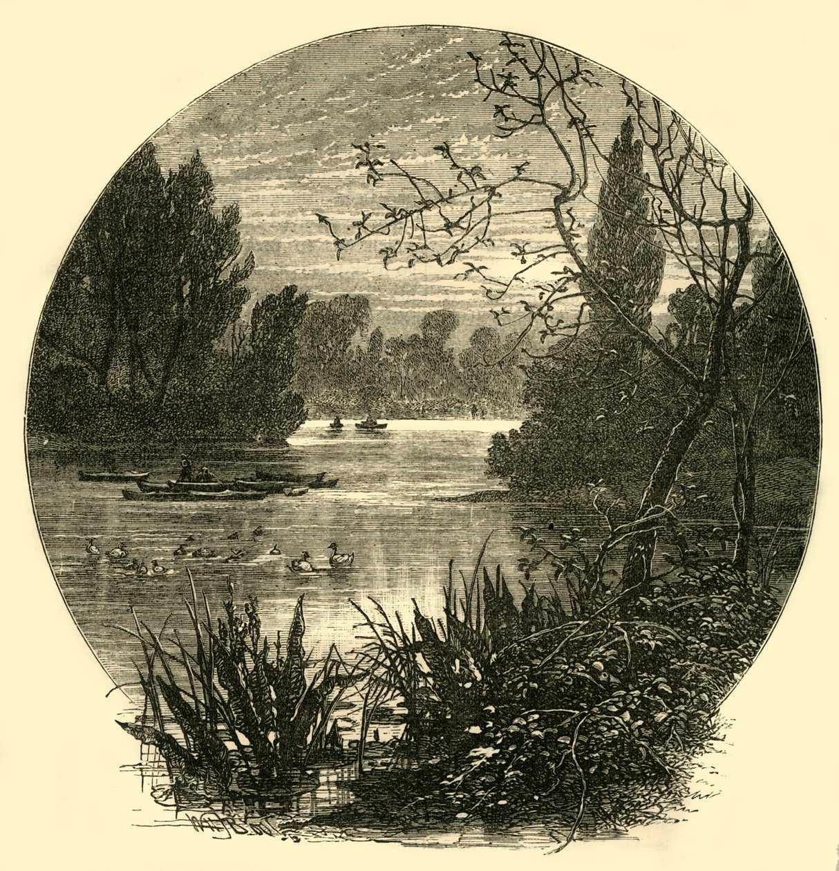 Der See, Battersea Park, ca. 1878 von Unbekannt