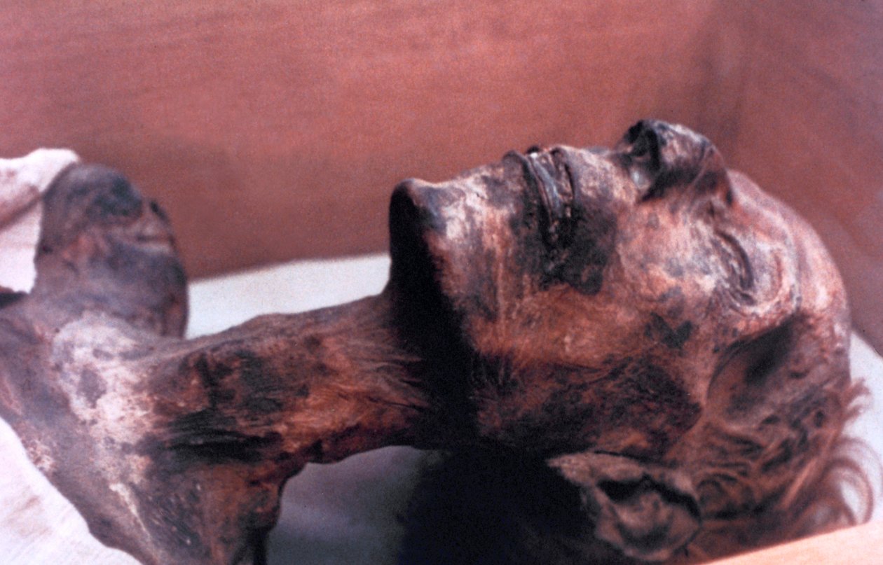 Die Mumie von Ramses II., Ägypten, 1213 v. Chr. von Unbekannt