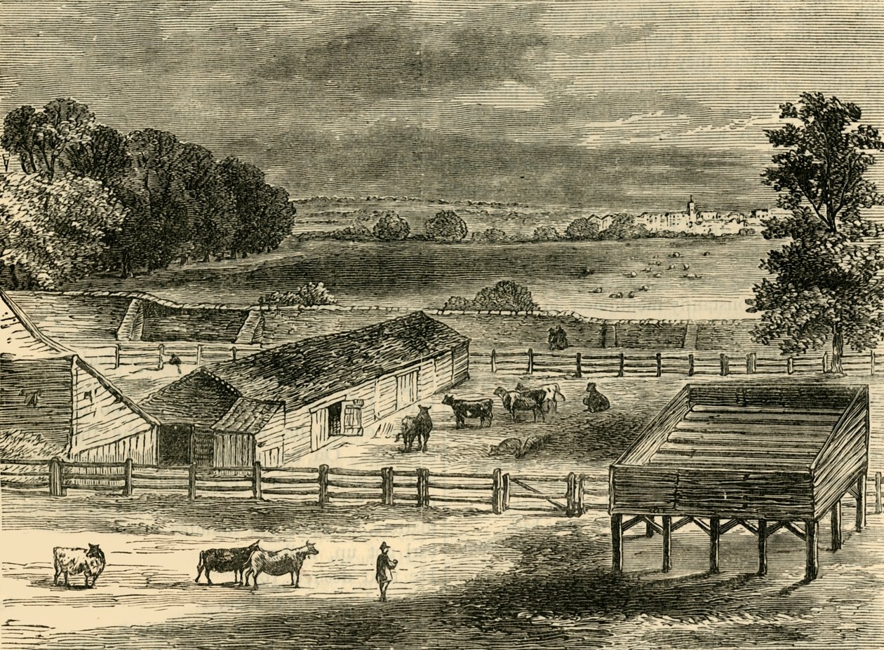 Der Hinrichtungsplatz, Tyburn, 1790 von Unbekannt
