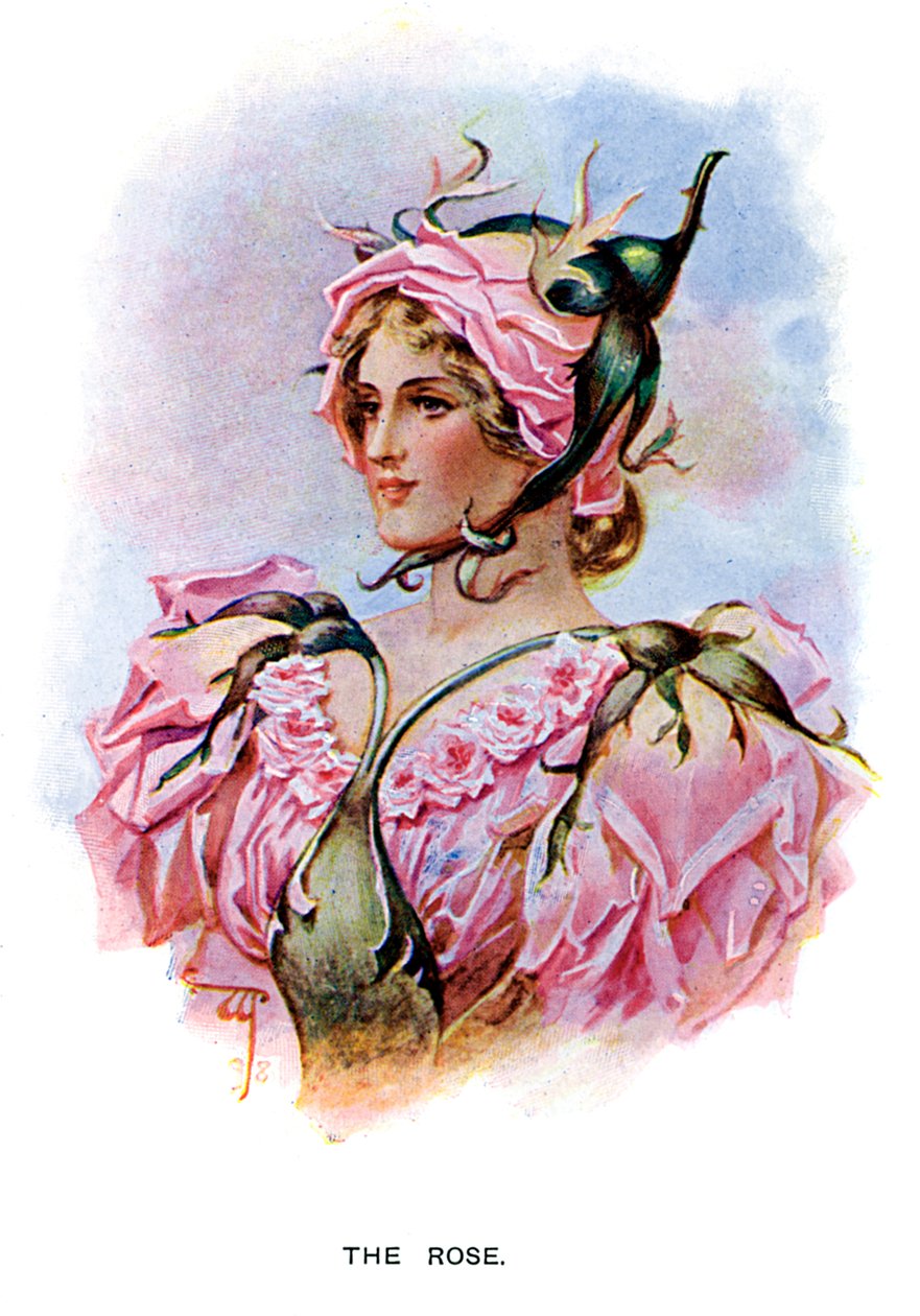 Die Rose, 1899 von Unbekannt