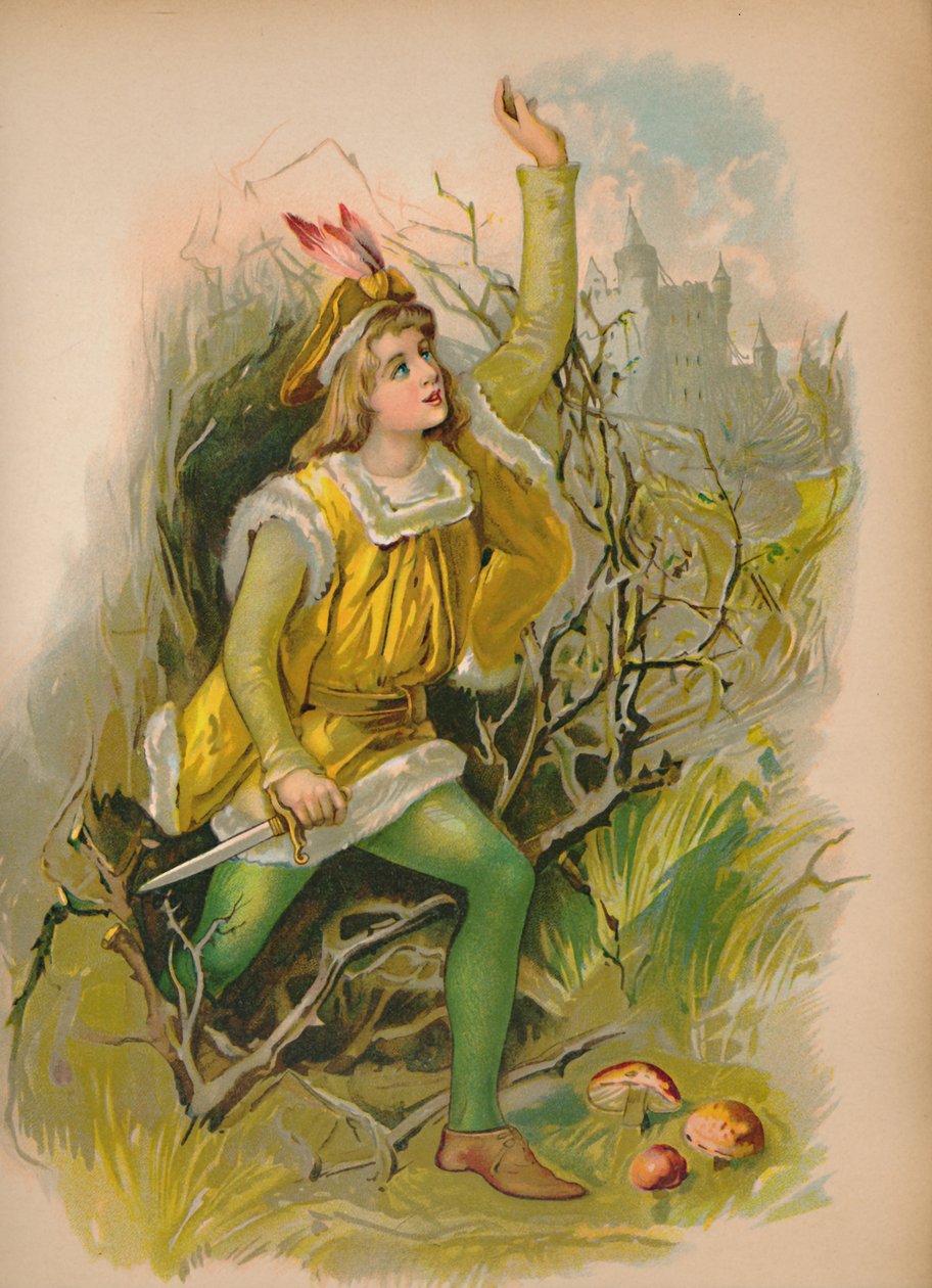 Dornröschen, 1903 von Unbekannt