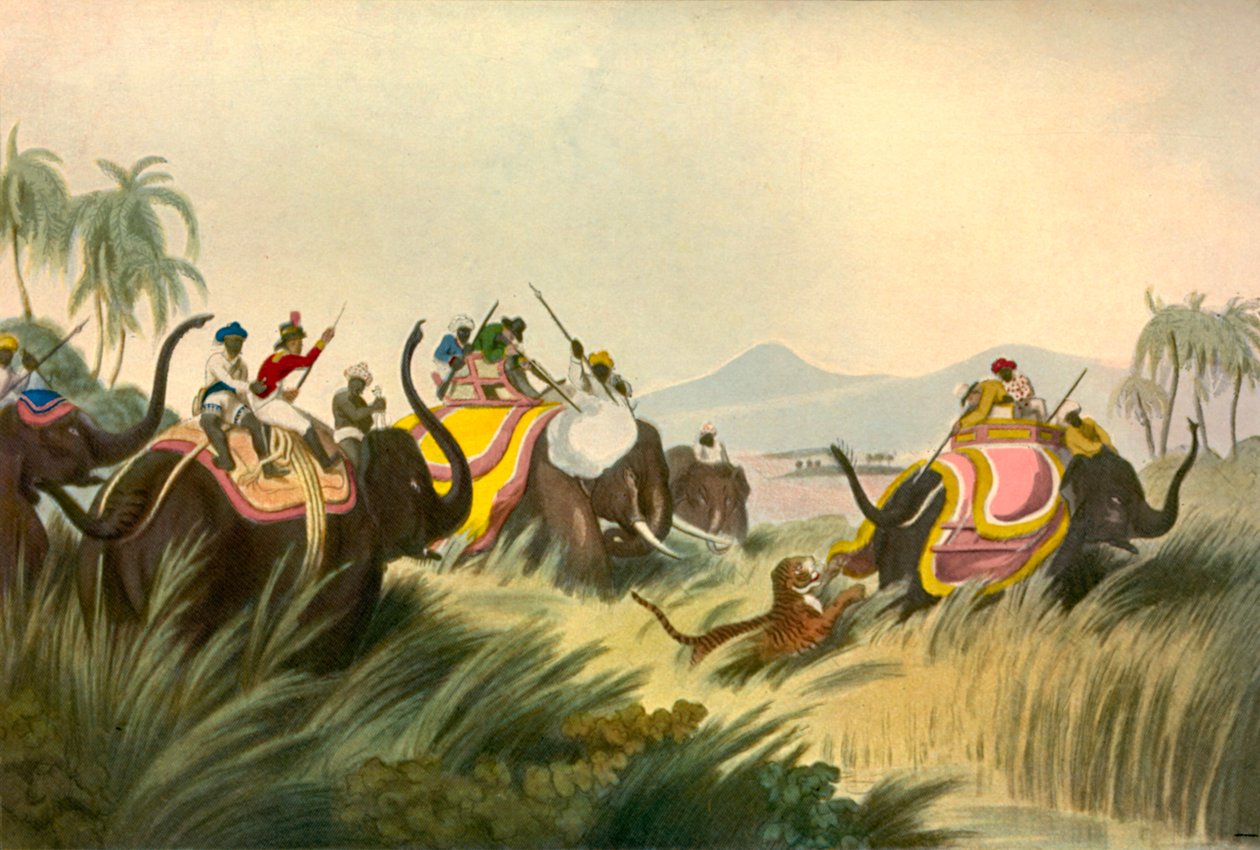 Die Tigerjagd, ca. 1808, 1901 von Unbekannt