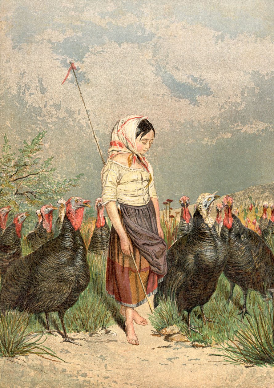Der Truthahnwächter, 1858 von Unbekannt