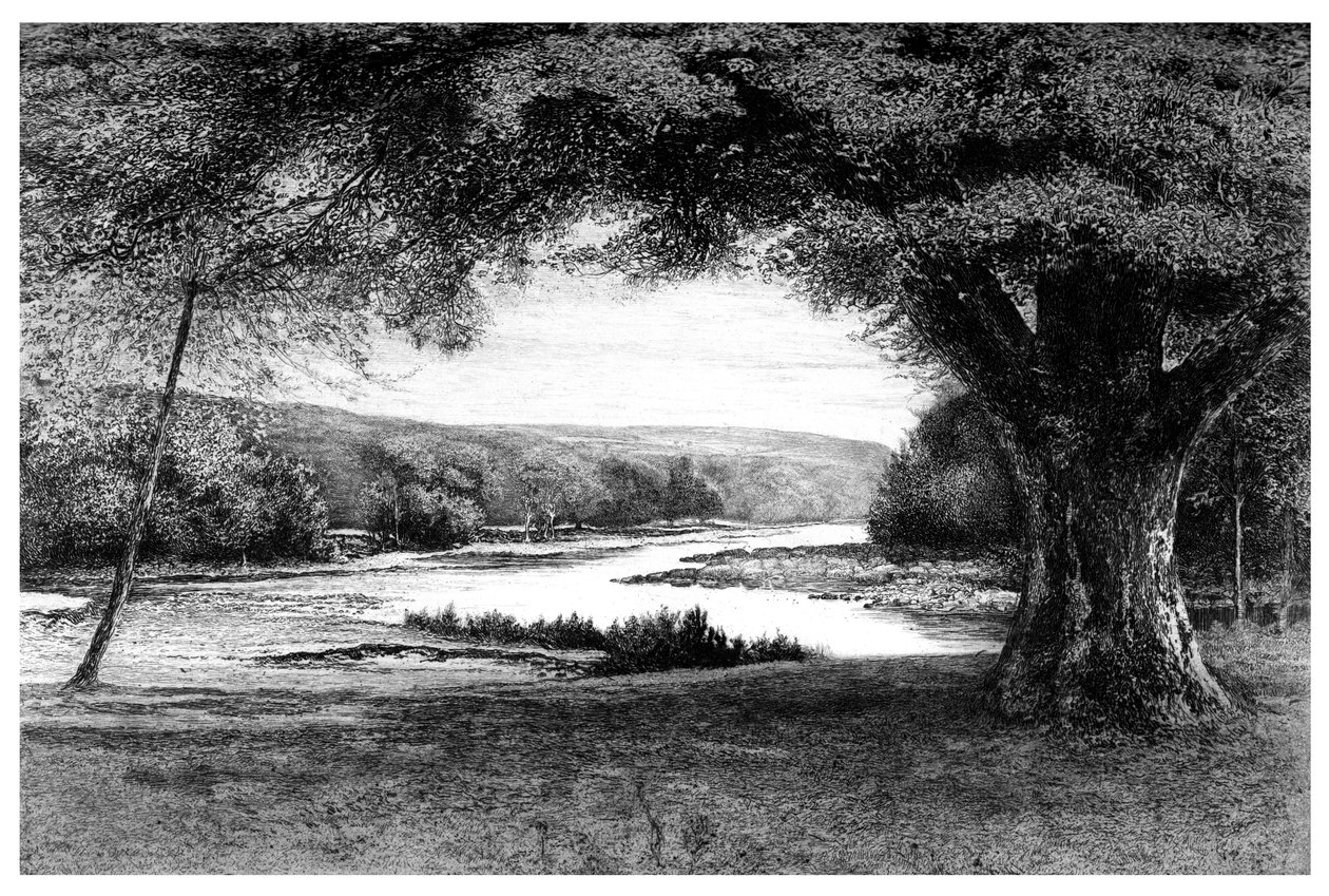 Das Tal von Avoca, 1895 von Unbekannt