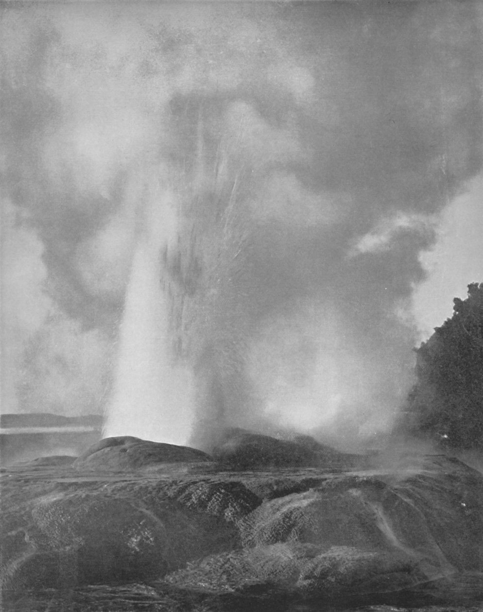 Der Waikite-Geysir, 19. Jh. von Unbekannt