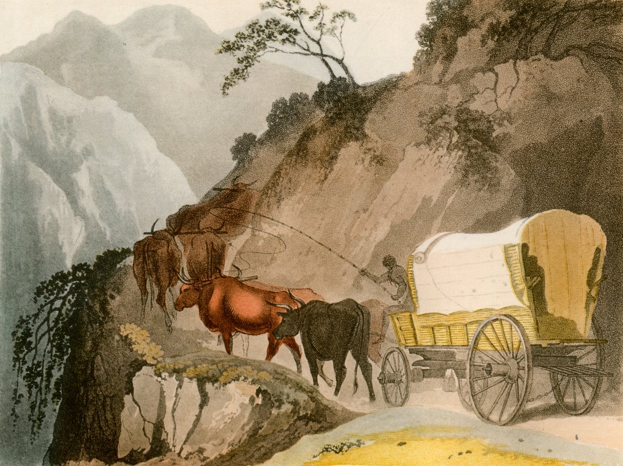 Der Weg des Voortrekker von Unbekannt