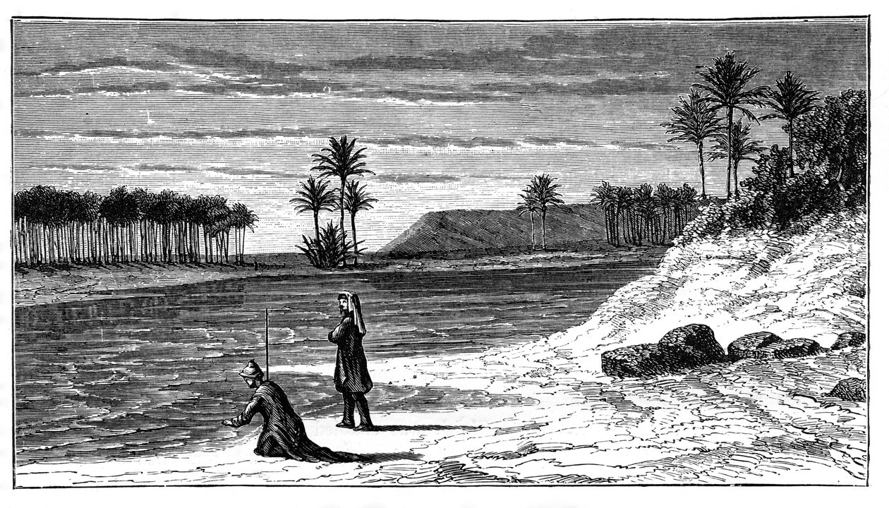 Die Ufer des Euphrat, ca. 1890 von Unbekannt