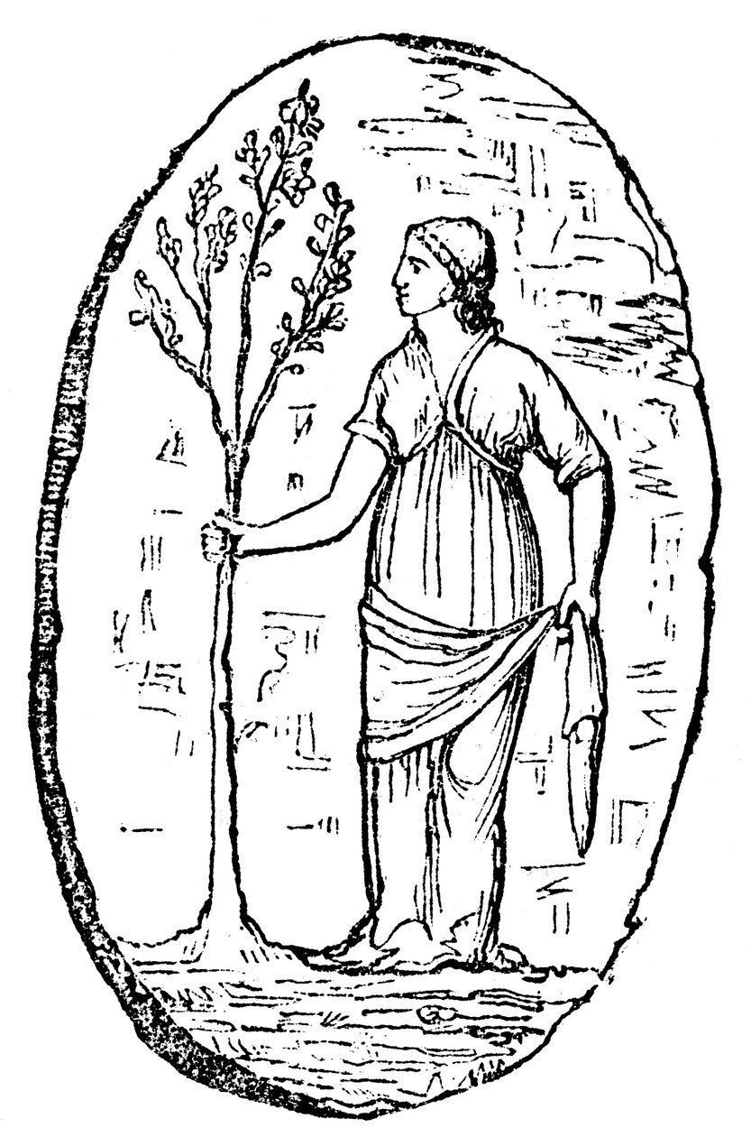 Die Göttin Minerva hält einen jungen Olivenbaum von Unbekannt