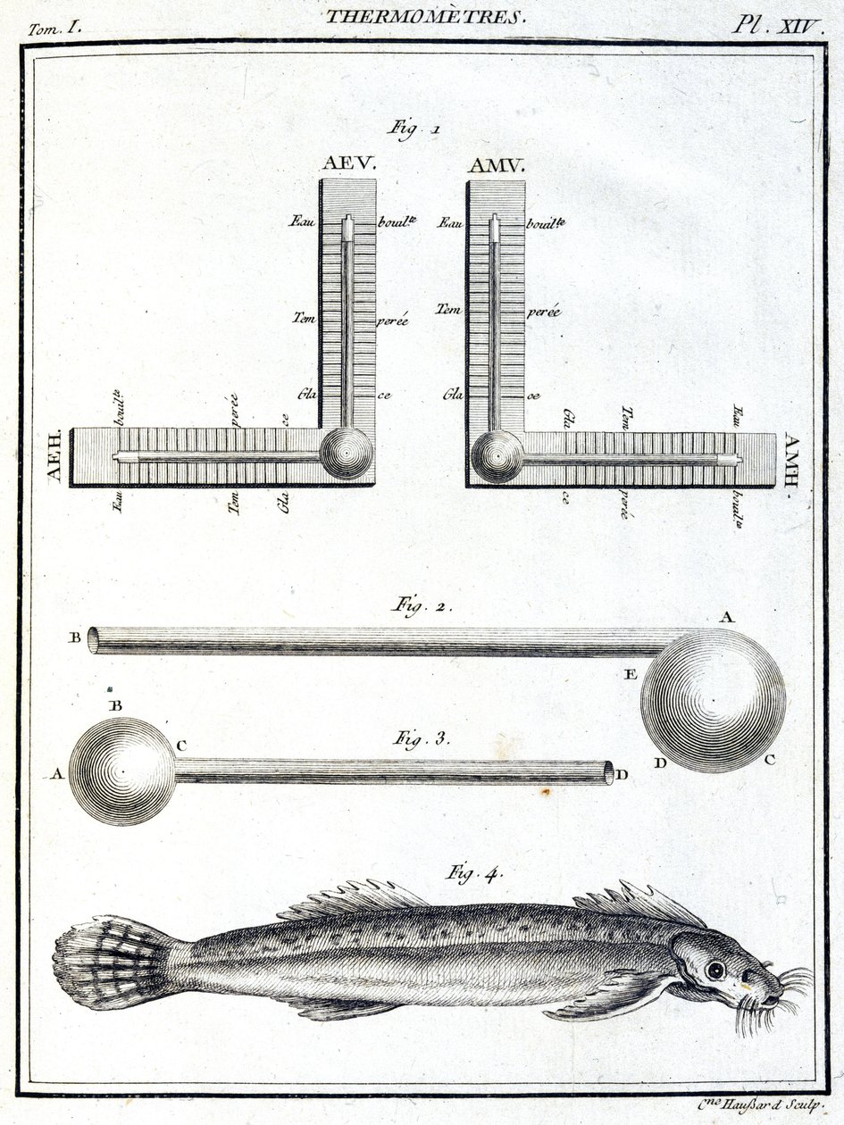 Thermometer von Unbekannt