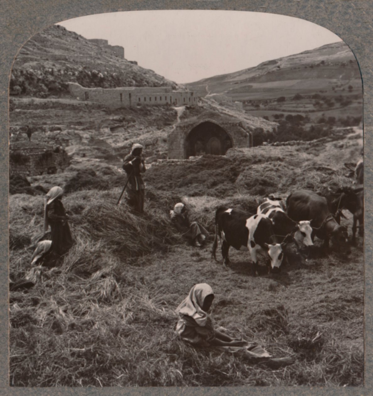 Getreide dreschen in der Nähe von Jacobs Brunnen, um 1900 von Unbekannt