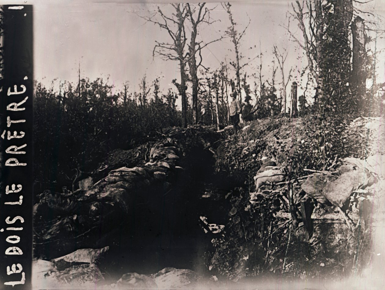 Schützengräben, Bois-le-Prêtre, Lothringen, Nordfrankreich, ca. 1914-1918 von Unbekannt