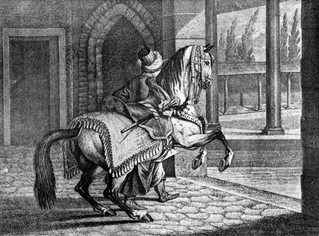 Arabisches Sattelpferd des türkischen Sultans, 1722, 1938 von Unbekannt