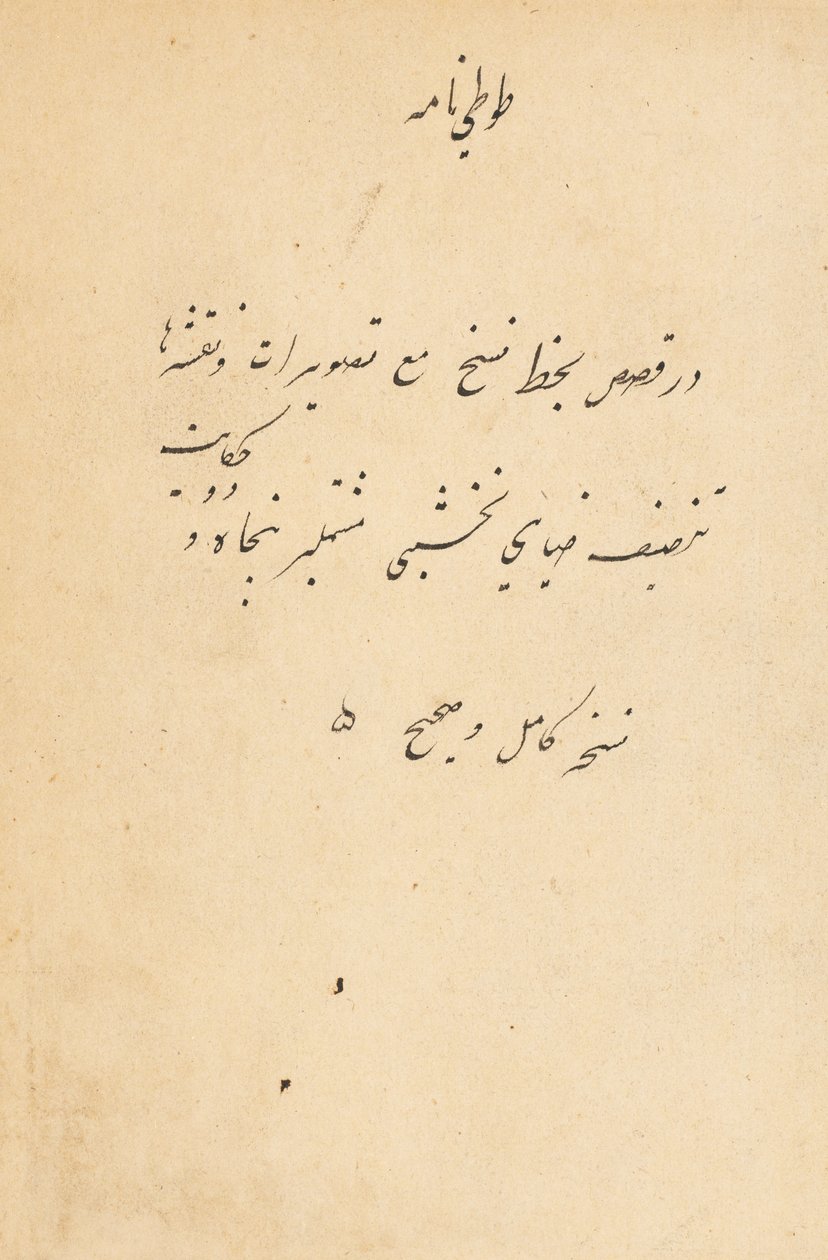 Tuti-Nama Geschichten eines Papageis, ca. 1560 von Unbekannt