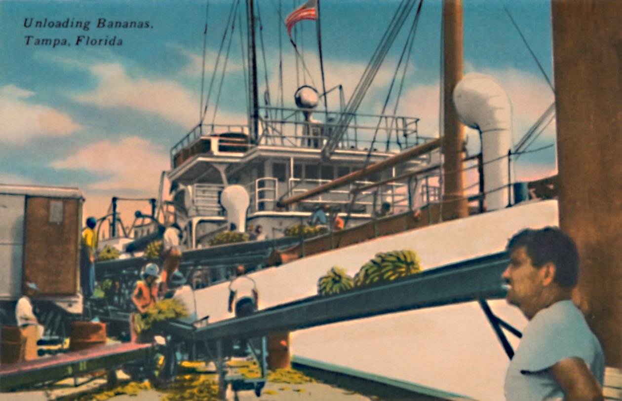 Bananen entladen, Tampa, Florida, um 1940er Jahre von Unbekannt