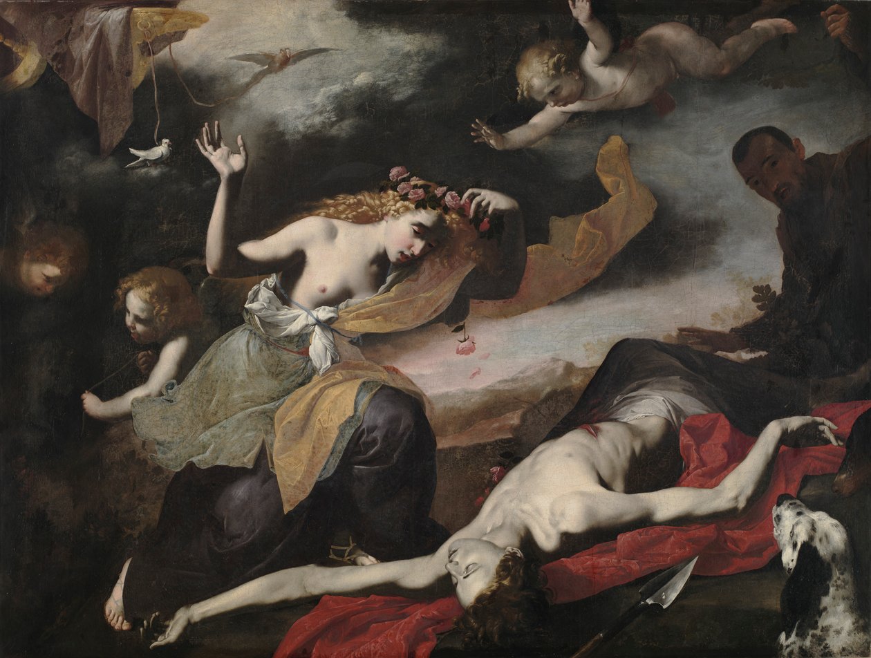 Venus entdeckt den toten Adonis von Unbekannt