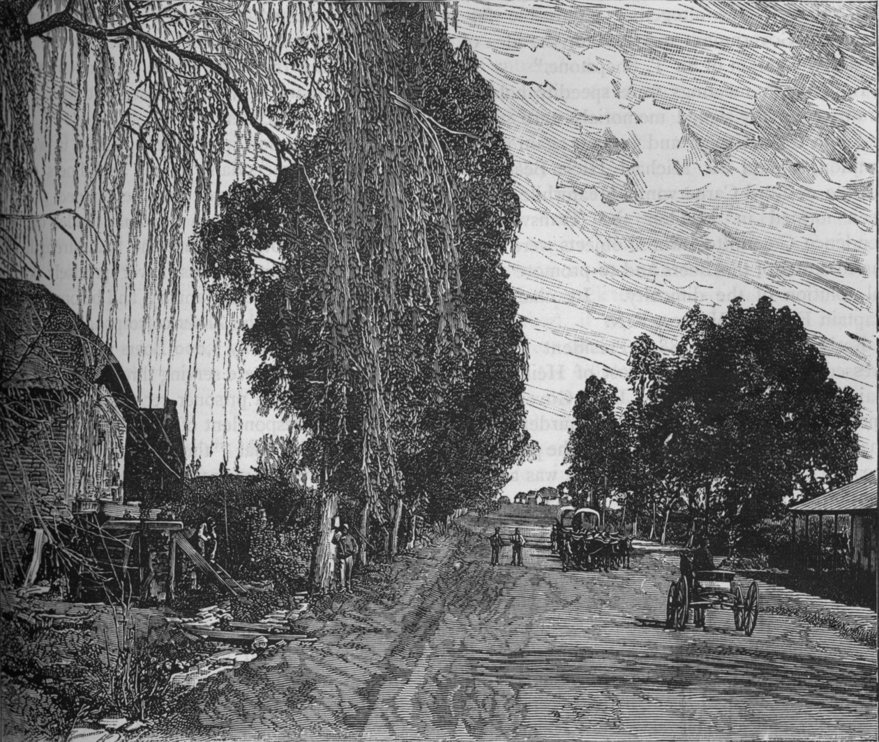 Blick in der Nähe von Pretoria, ca. 1880 von Unbekannt