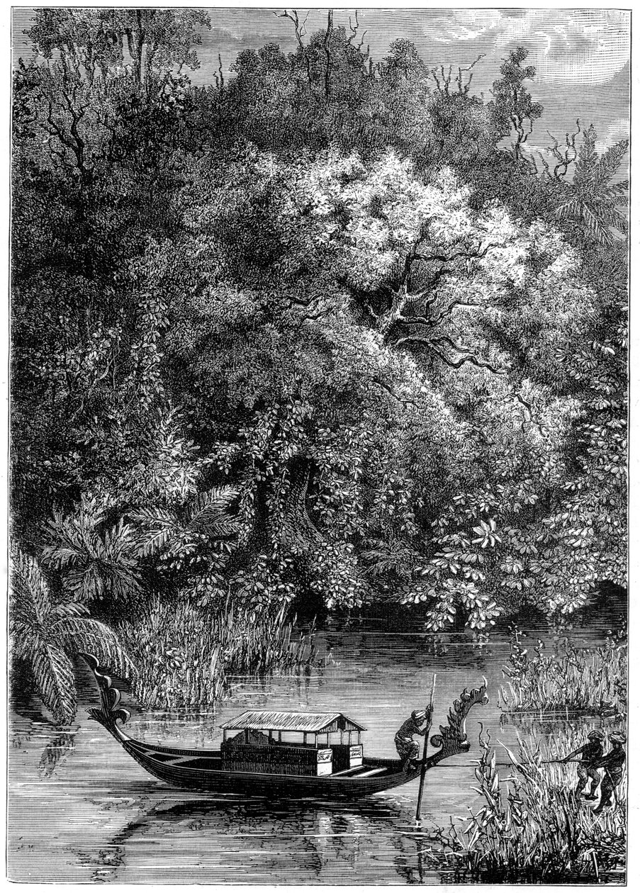 Blick auf den Dodinga-Fluss, Neuguinea, 1877 von Unbekannt