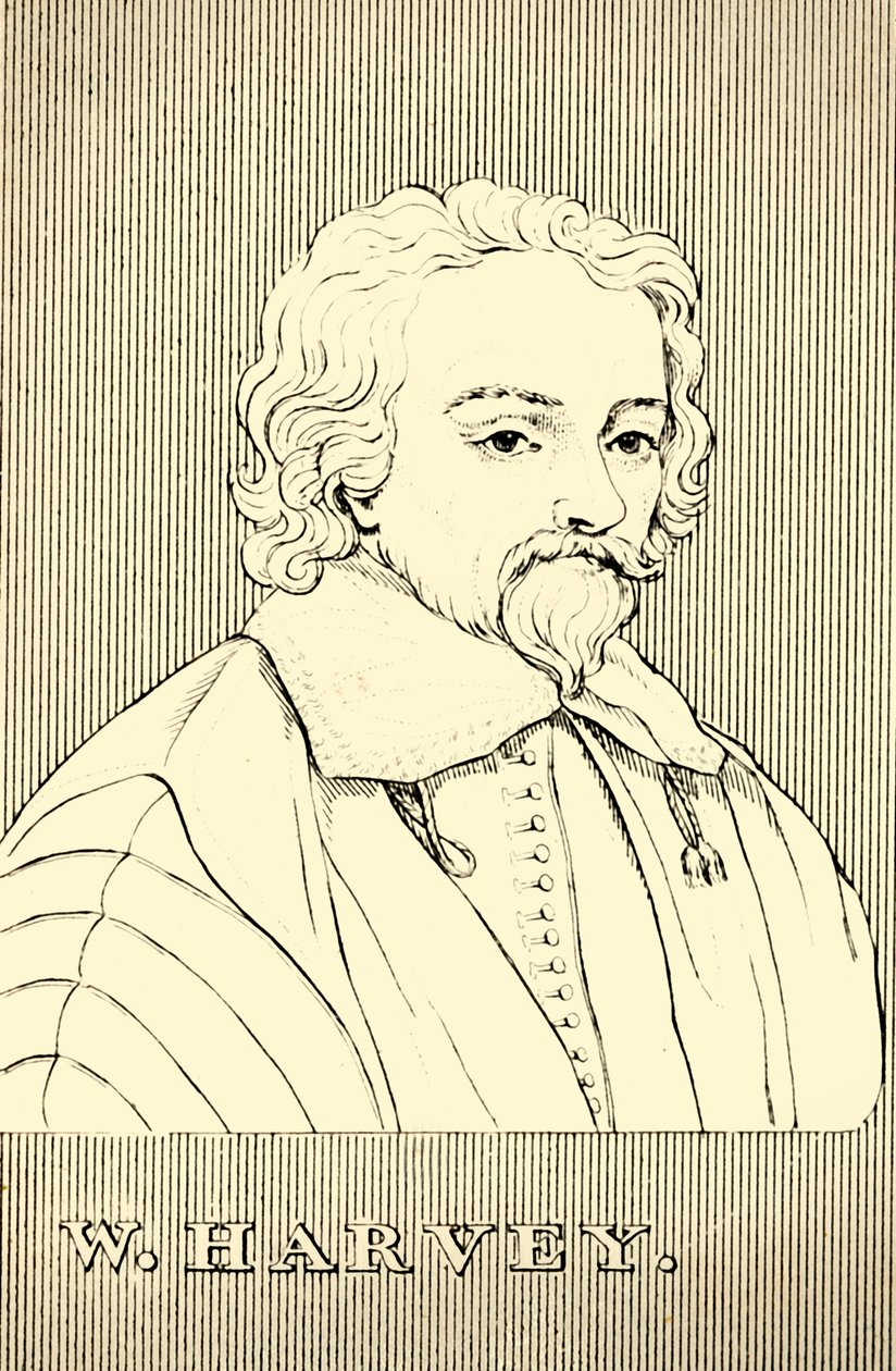 W. Harvey, 1578-1657, 1830 von Unbekannt
