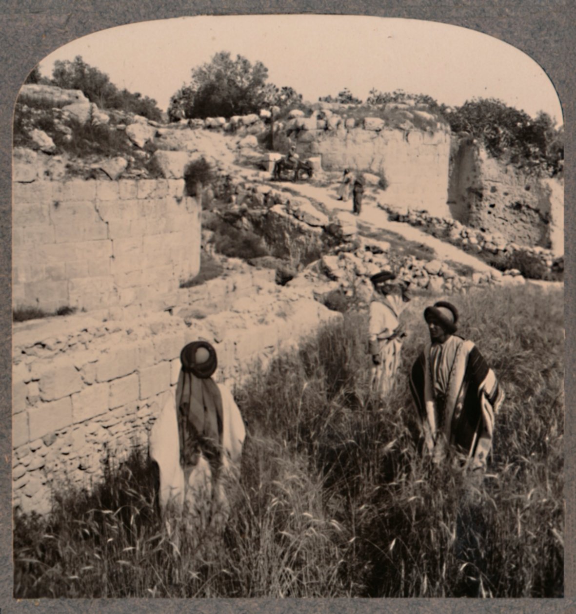 Mauern des Augustus, Samaria, um 1900 von Unbekannt