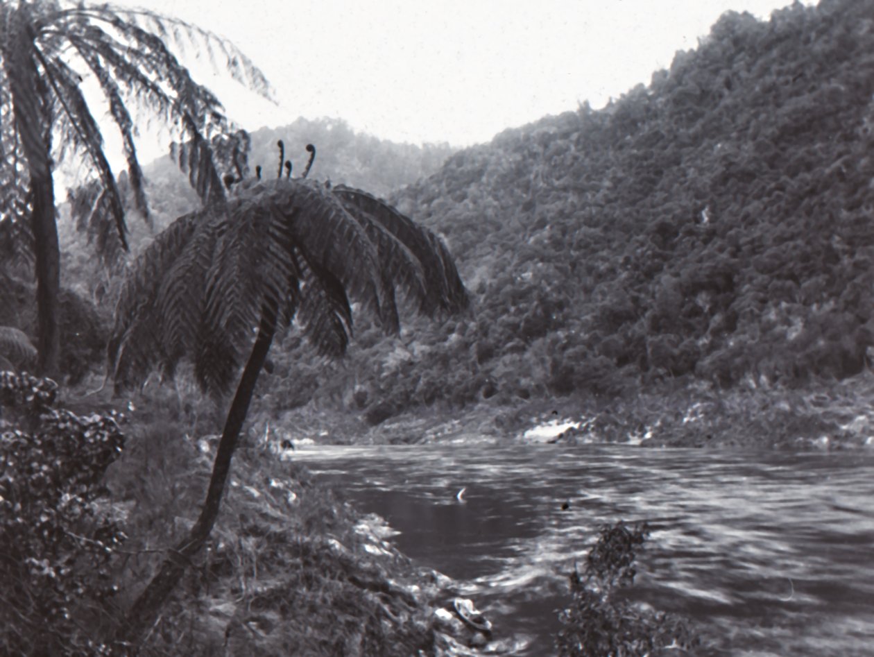 Wanganui-Fluss, spätes 19. - frühes 20. Jahrhundert von Unbekannt