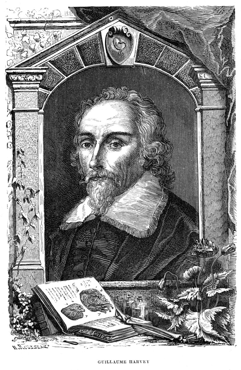 William Harvey, englischer Arzt von Unbekannt