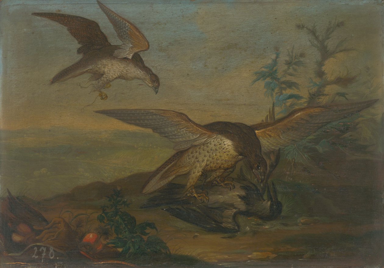 Vogelkampf von Unbekannt