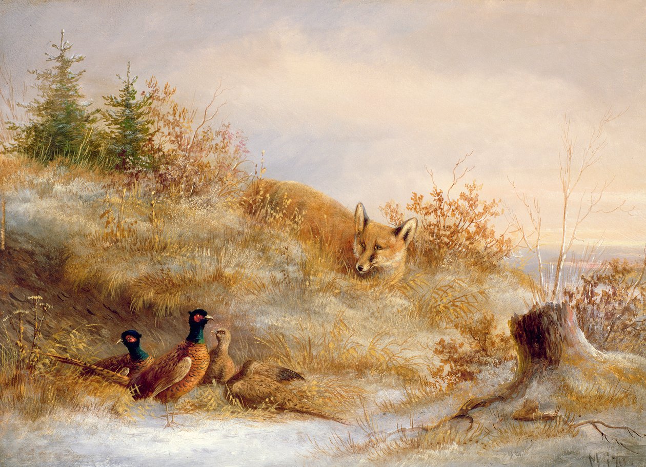 Fuchs und Fasane im Winter (Öl) von Unbekannt Unbekannt