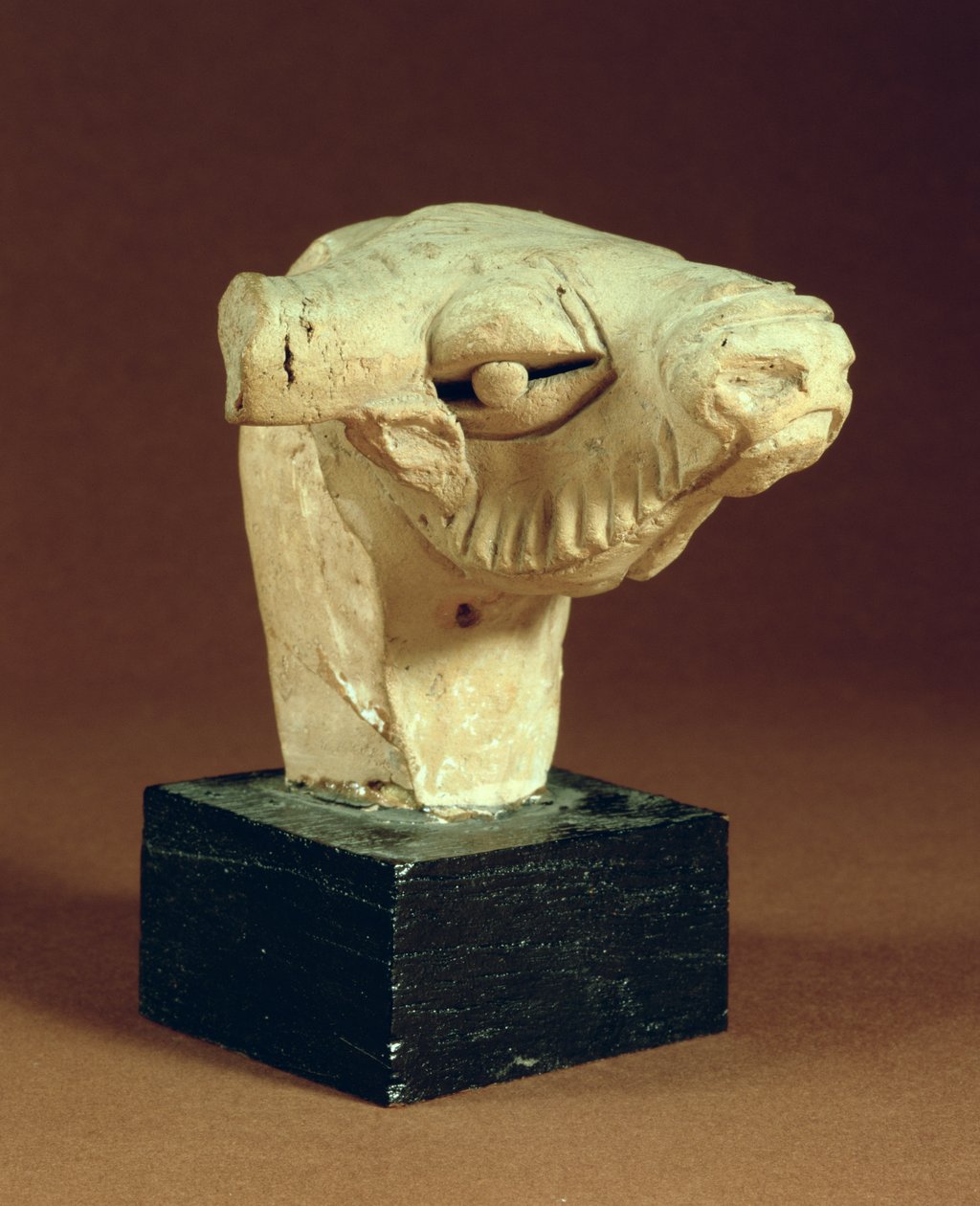 Terrakotta Kamelkopf, Mohenjodaro, 2300-1750 v. Chr. von Unbekannt Unbekannt