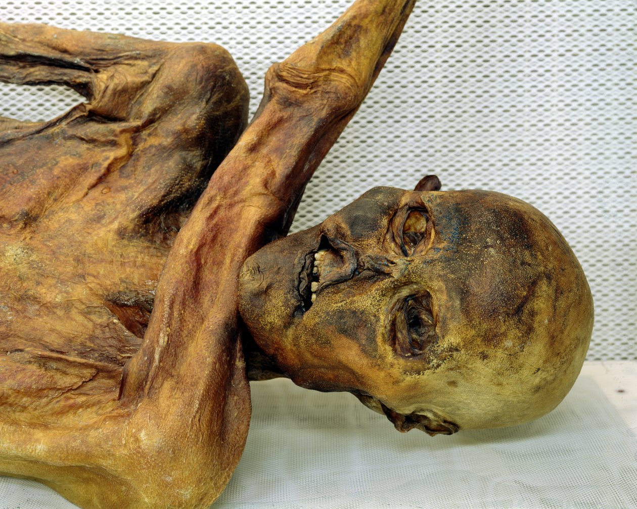 Der Ötzi-Eismann von Unbekannt Unbekannt