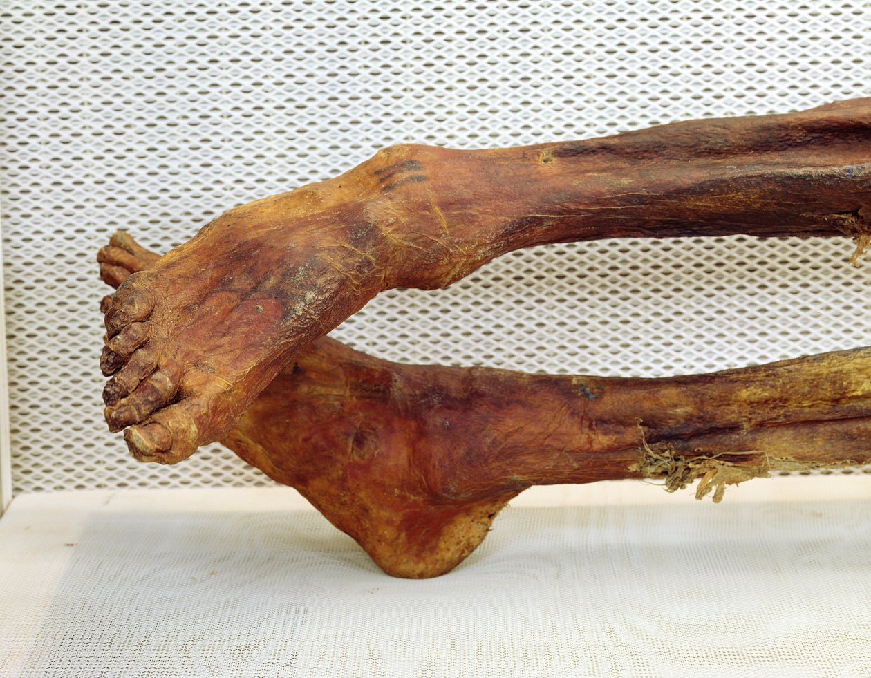 Der Ötzi-Mann von Unbekannt Unbekannt