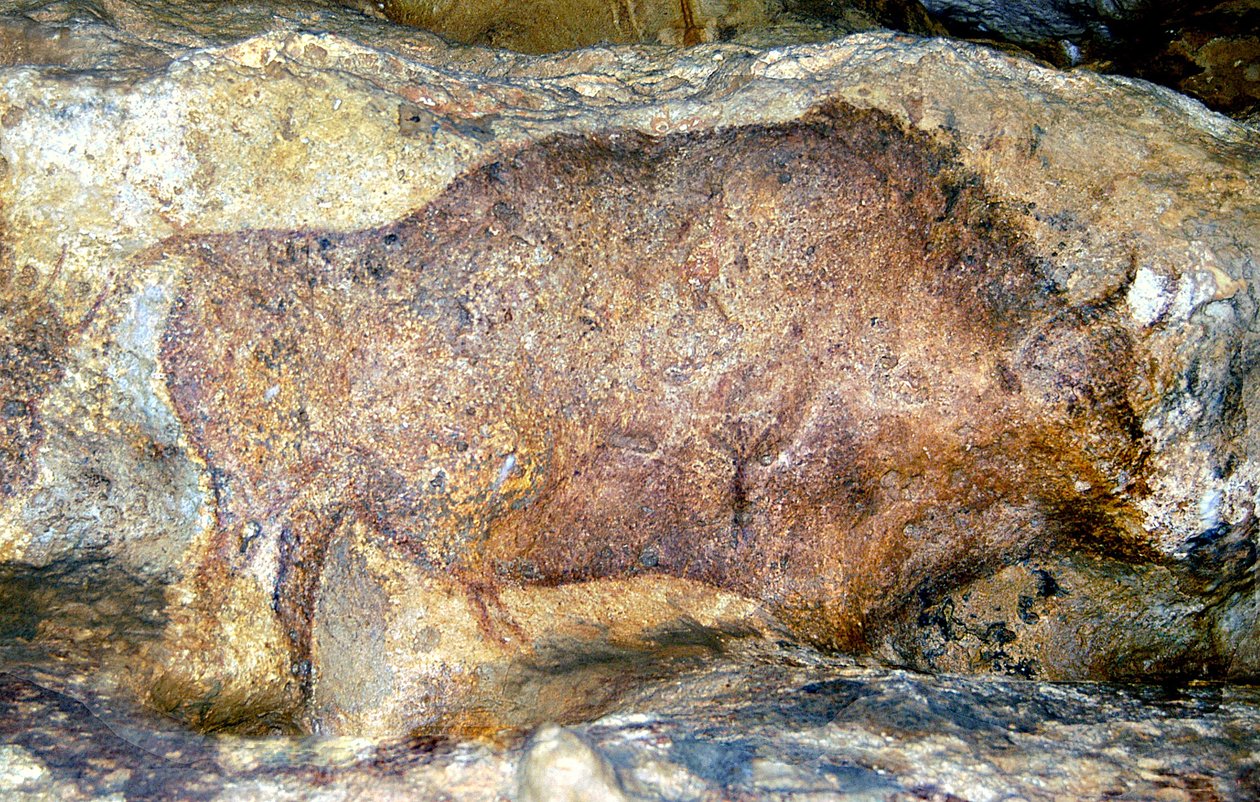 Bison in Font De Gaume, ca. 25.000 v. Chr. von Unbekannt Unbekannt