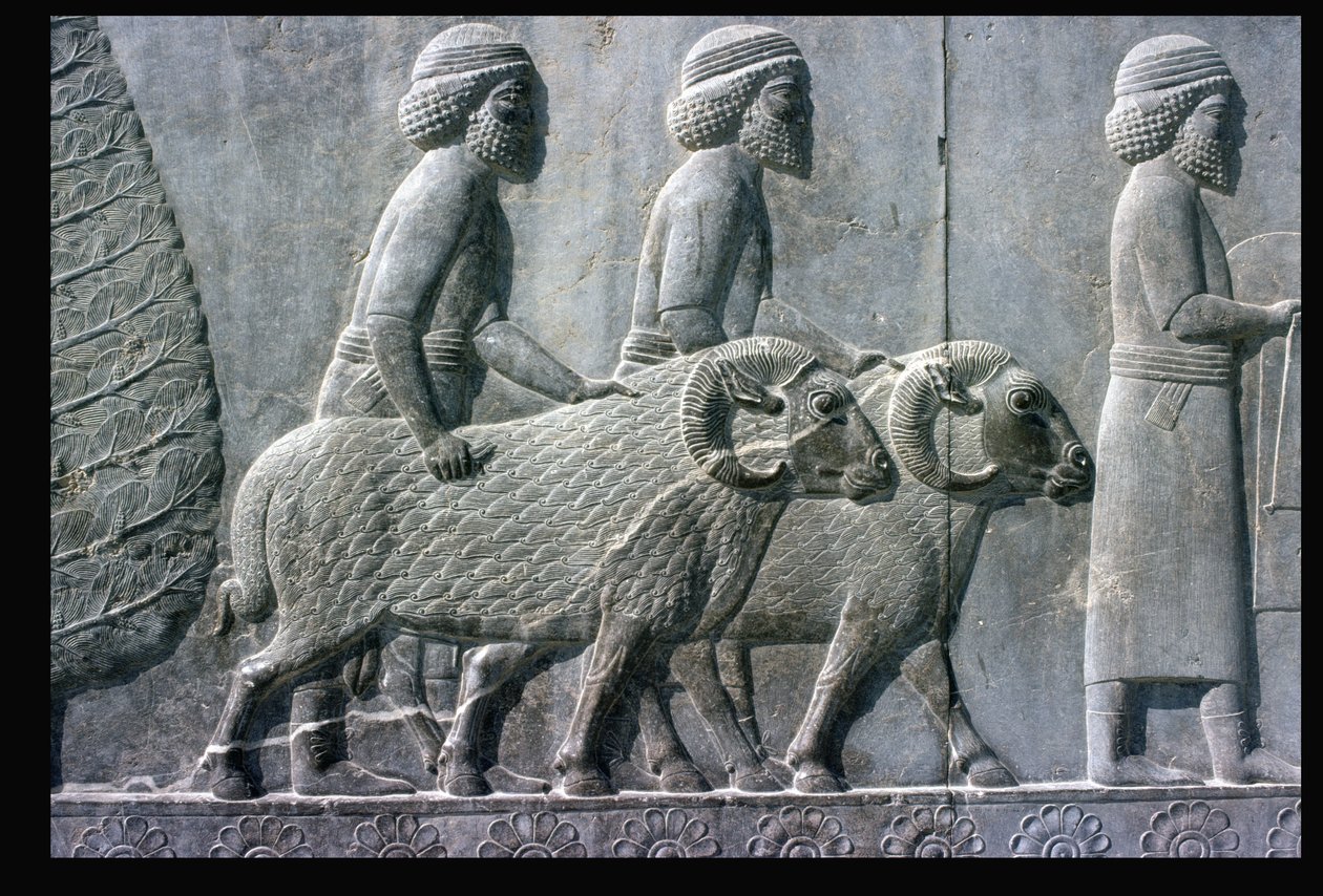 Detail des Relief-Frieses auf der östlichen Treppe zur Apadana von Unbekannt Unbekannt