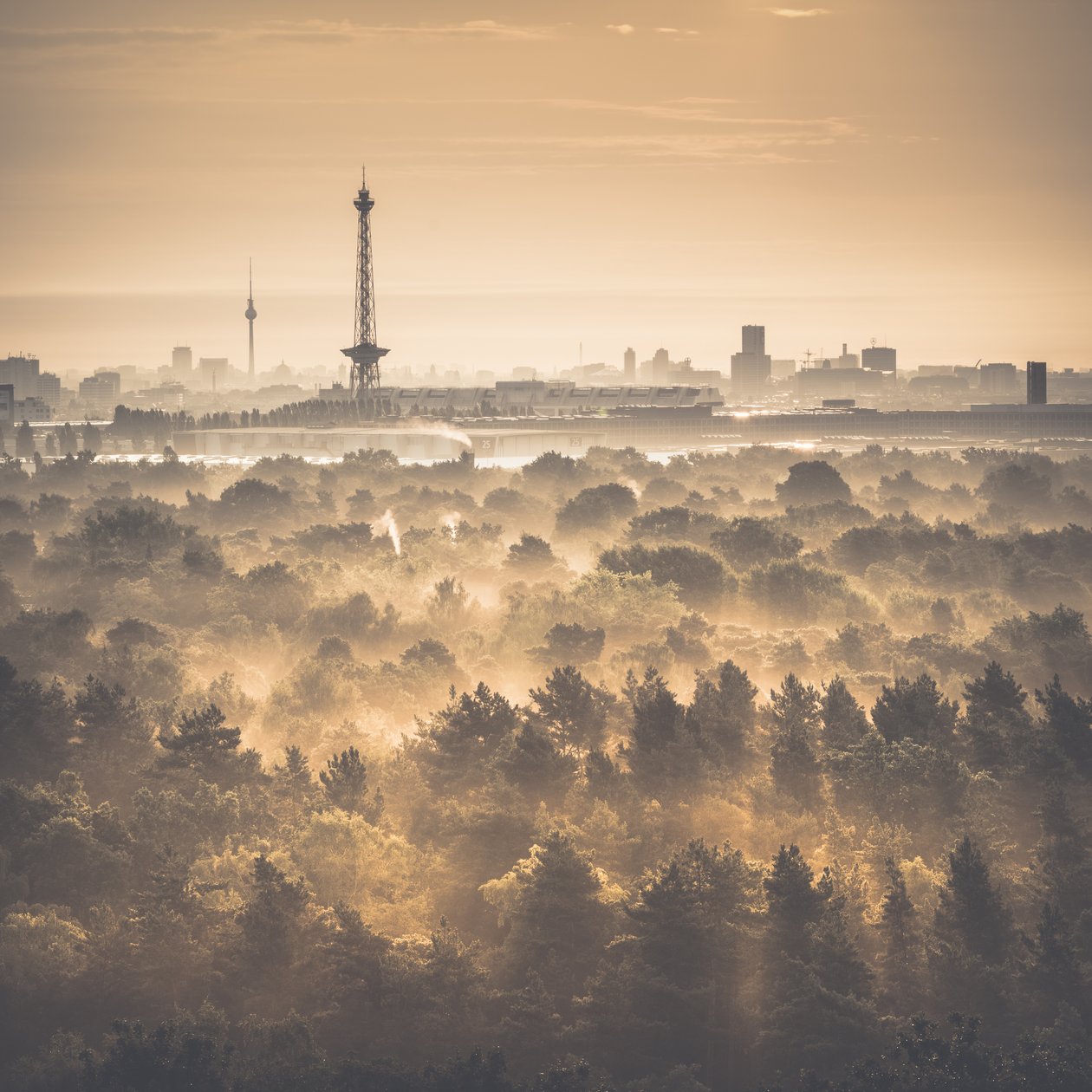 Drachenberg - Die zwei Türme, Berlin, 2015 von Unbekannt Unbekannt