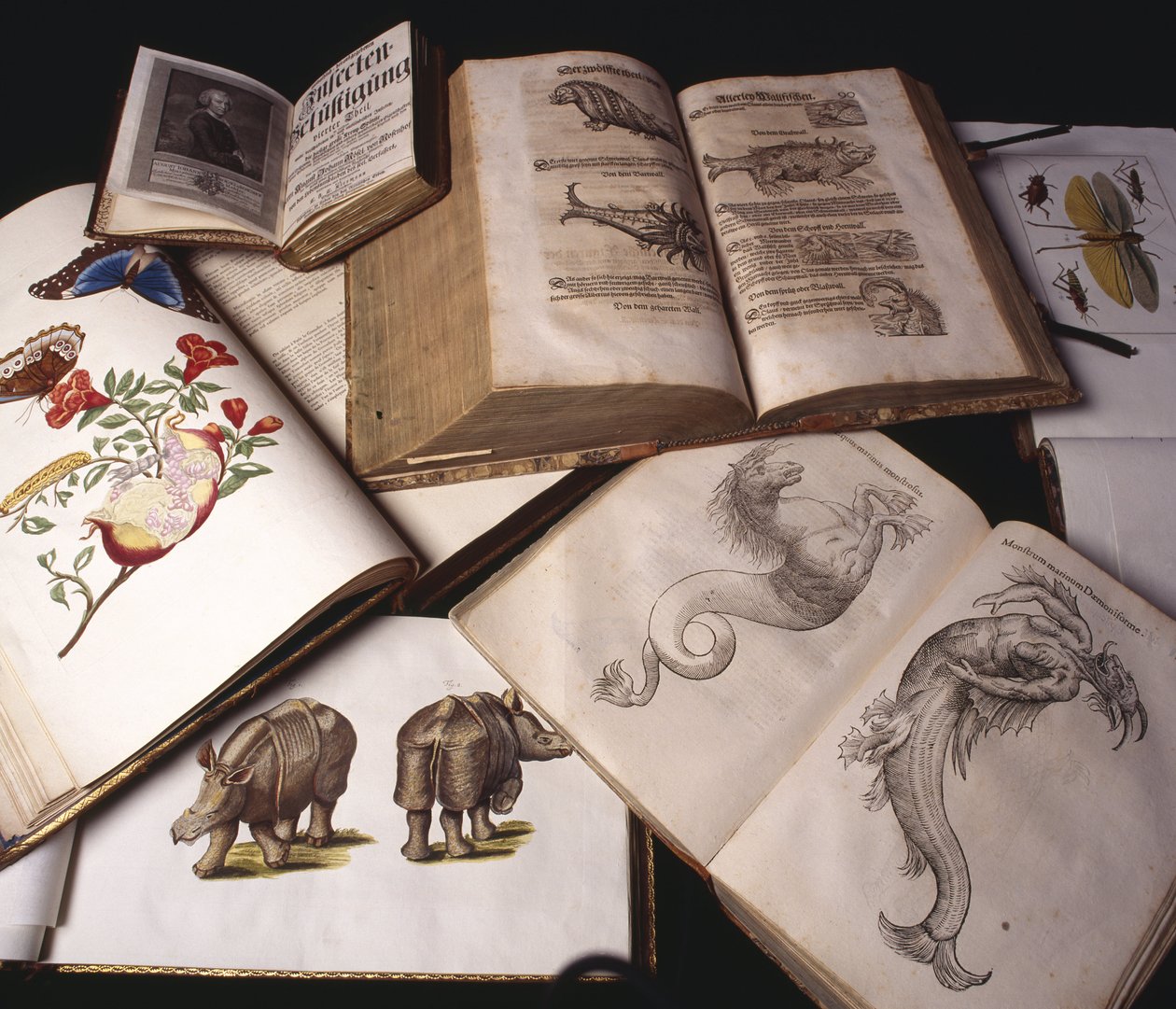 Alte Zoologiebücher von Unbekannt