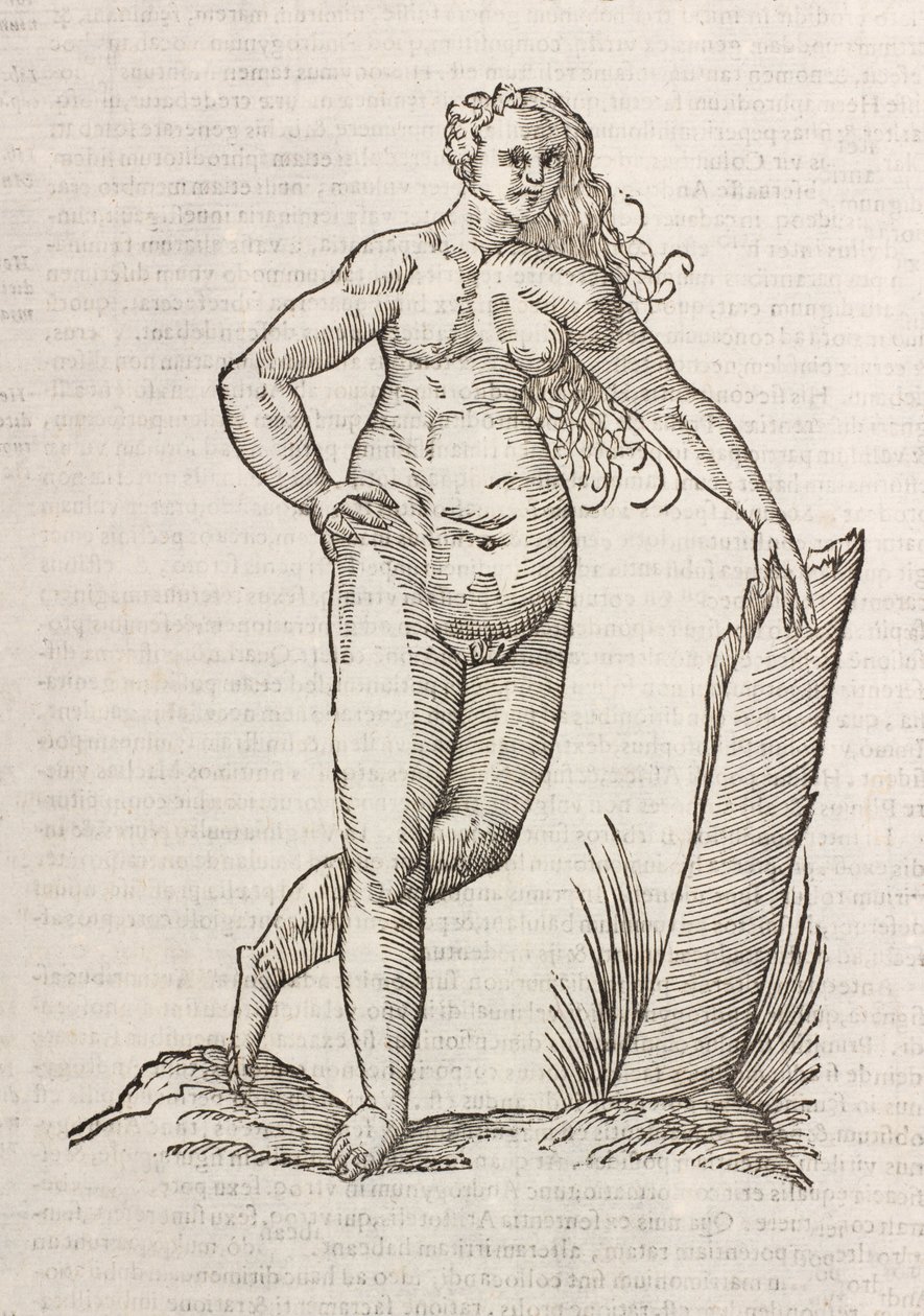 Androgynos von Unbekannt