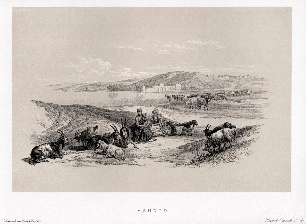 Ashdod von David von Unbekannter Künstler