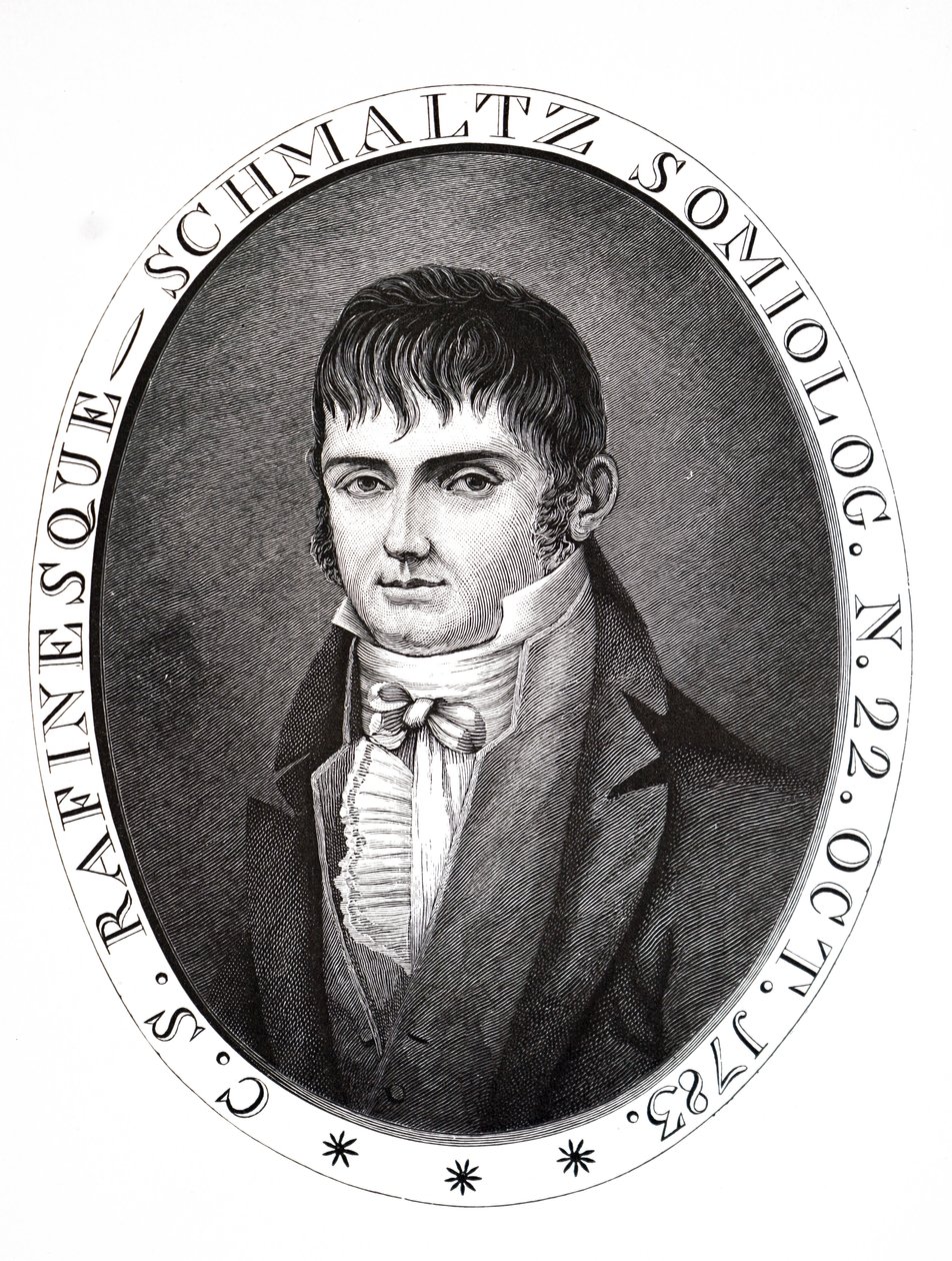 Constantine Samuel Rafinesque von Unbekannt