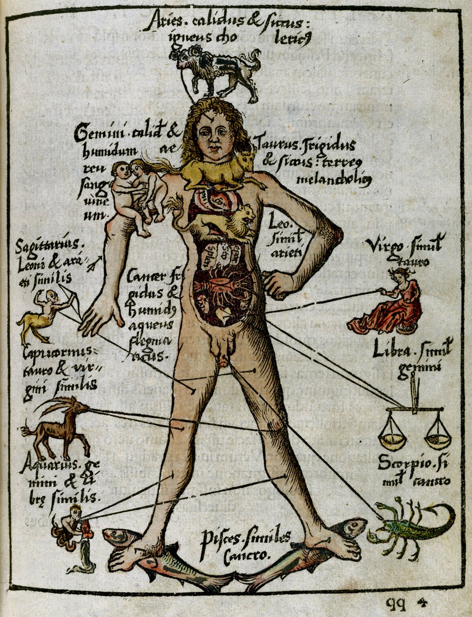 Kosmographie 16. Jahrhundert: der Zodiakalmensch von Unbekannt