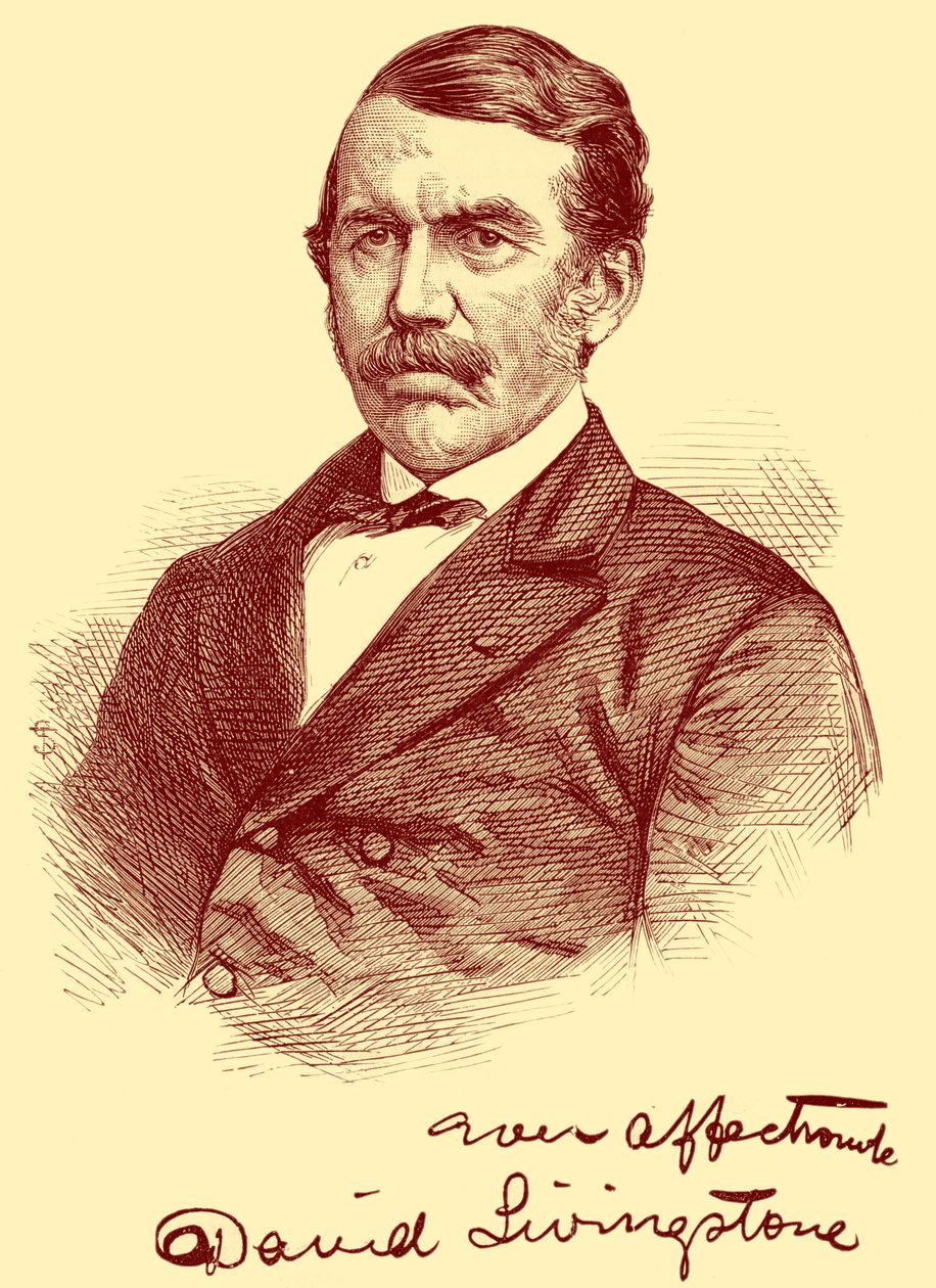 David Livingstone von Unbekannter Künstler