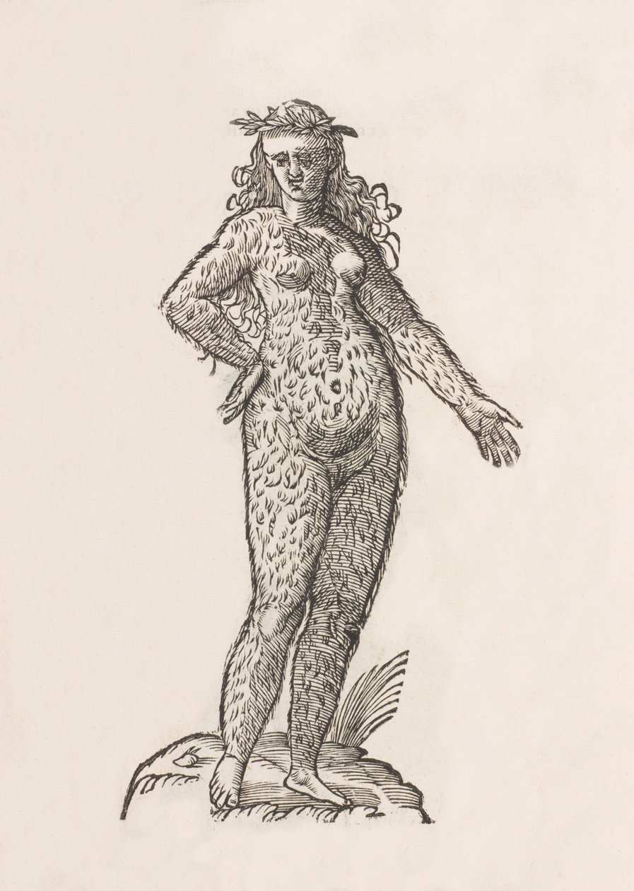 Frau des Cinnaminiae-Stammes von Unbekannt