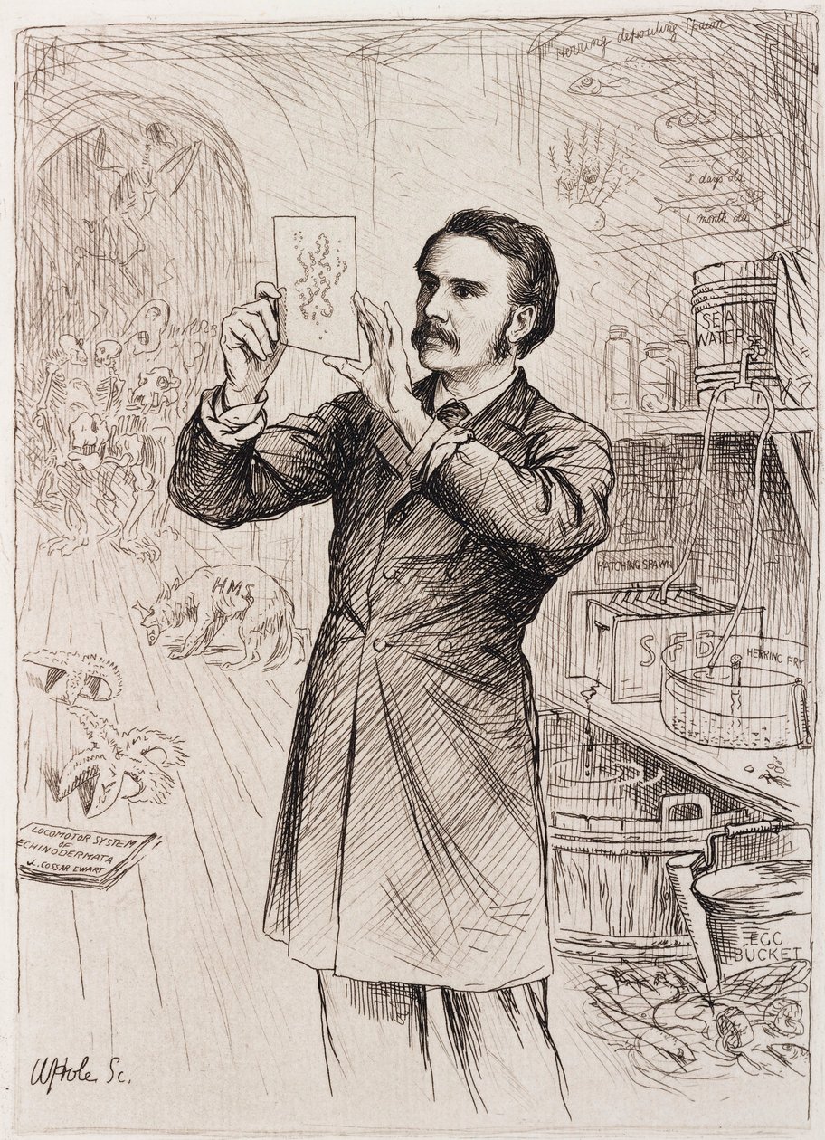 James Cossar Ewart, Zoologe von Unbekannt