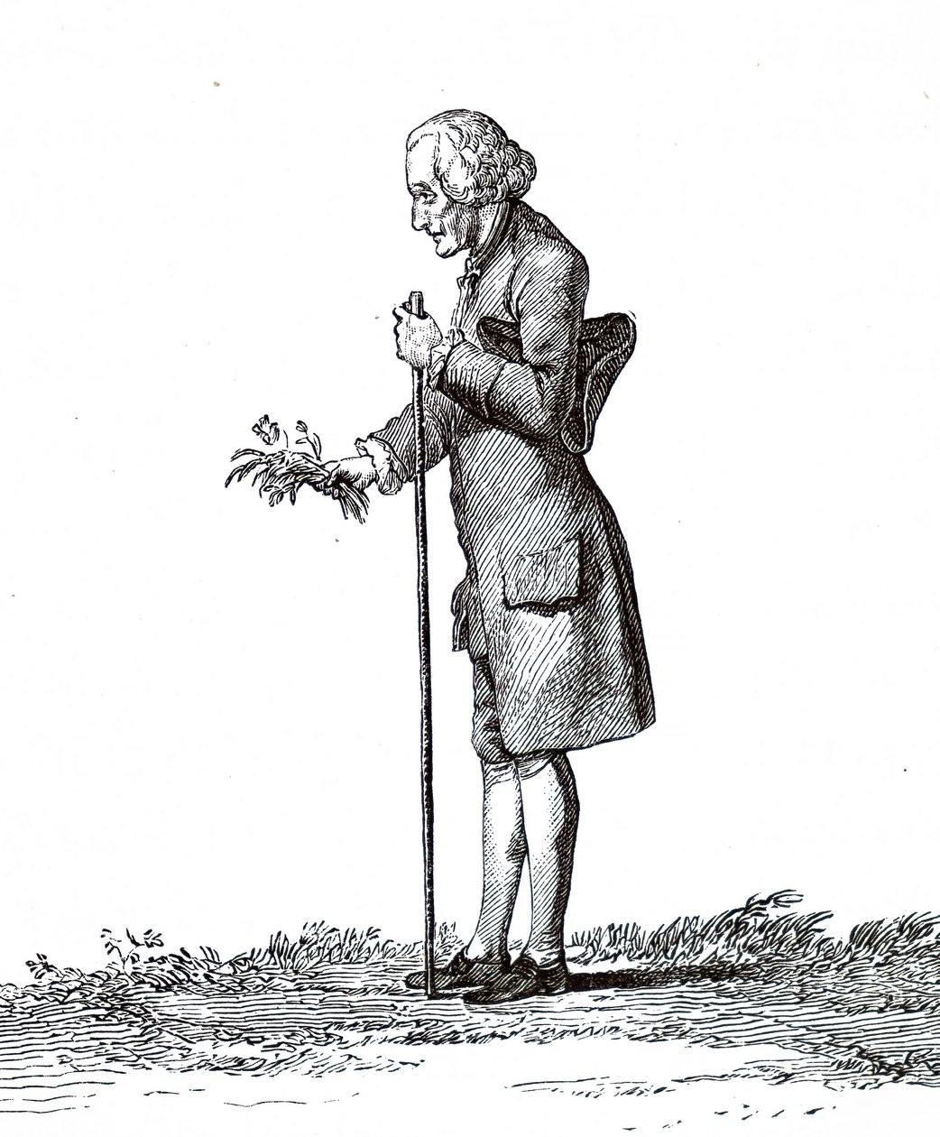 Jean-Jacques Rousseau von Unbekannt
