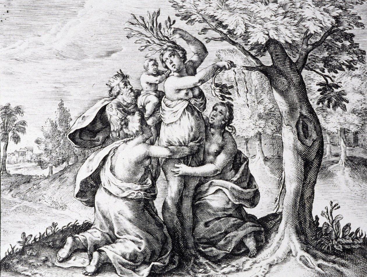 Mattei in Ovids Metamorphosen von Unbekannter Künstler