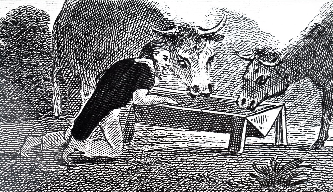 Mungo Park von Unbekannt