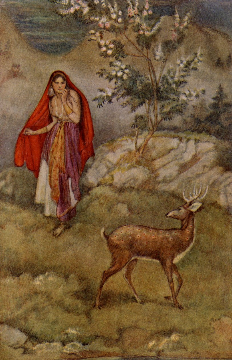 Sita findet den magischen Hirsch von Unbekannter Künstler
