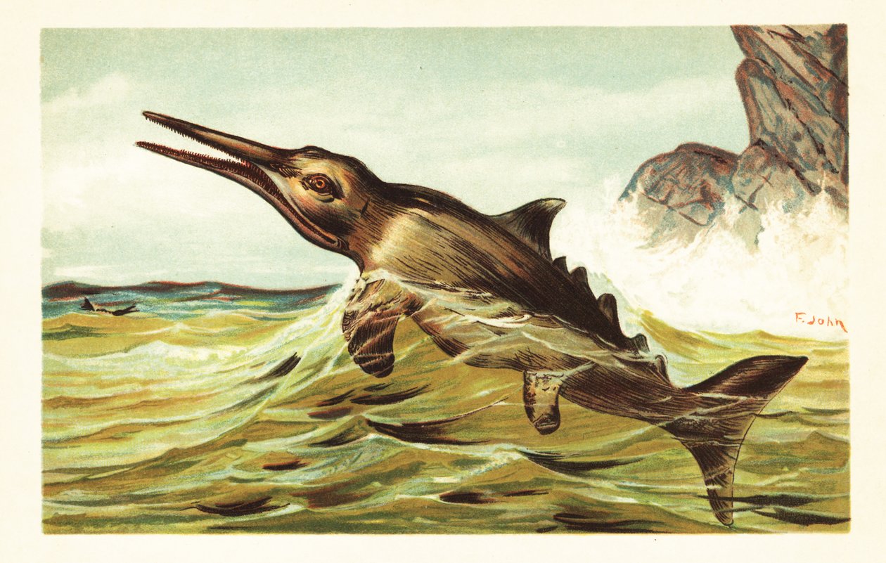 Stenopterygius quadriscissus, ausgestorbener Ichthyosaurier. 1908 (Lithografie) von Unbekannter Künstler