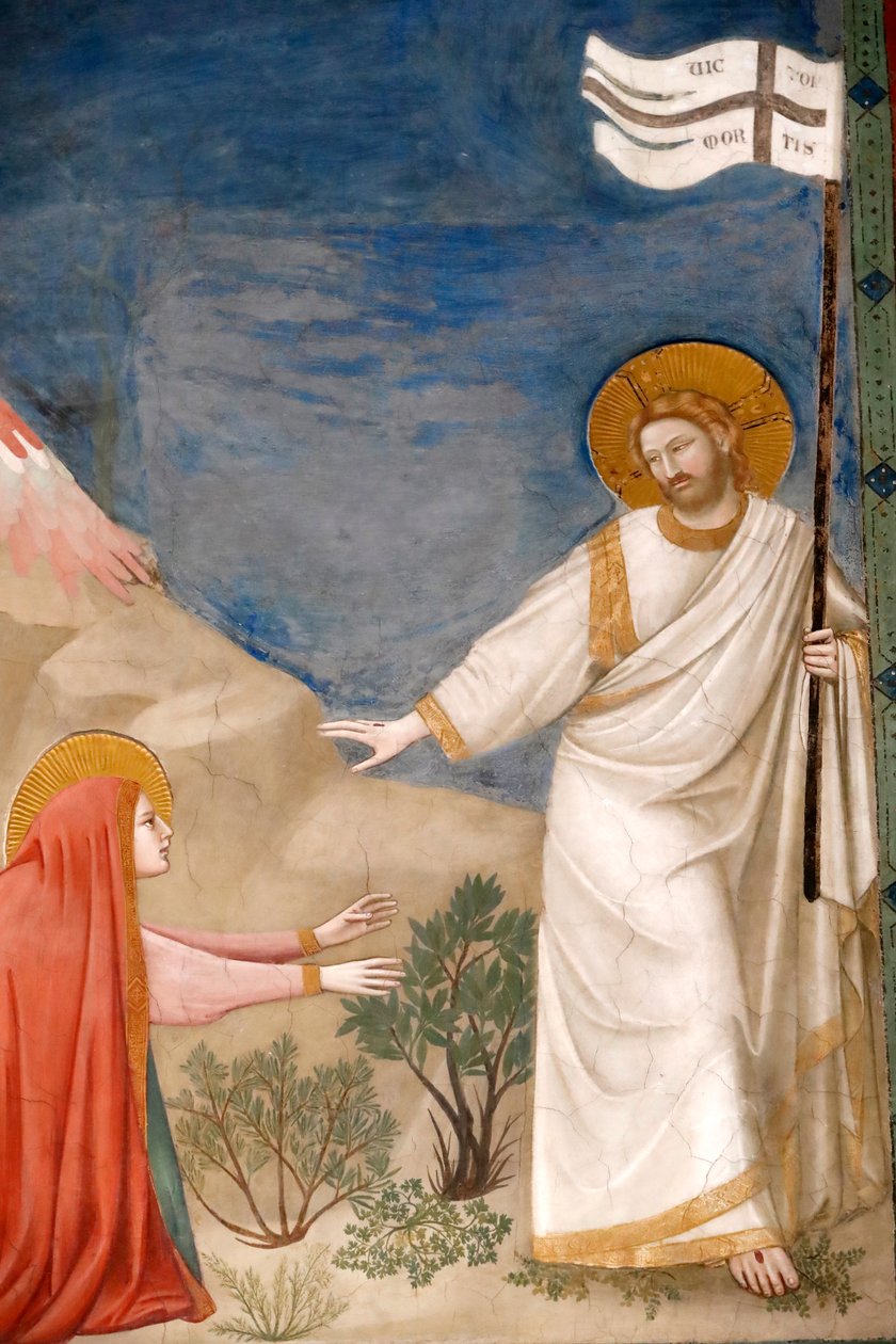Die Scrovegni-Kapelle (Fresko) von Unbekannter Künstler