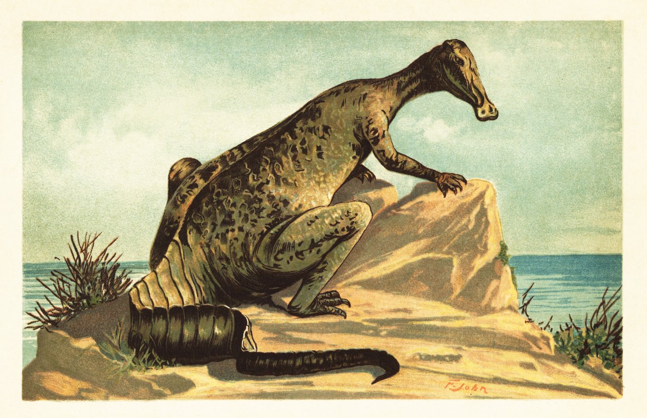 Trachodon mirabilis, ausgestorbener Hadrosaurier. 1908 (Lithografie) von Unbekannter Künstler